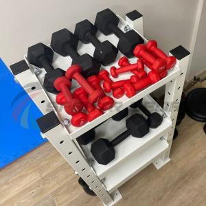 Купить Модульный стеллаж для гантелей, гирь  600х470х1160 в Лебедяни 